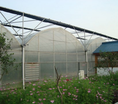 Multi-span greenhouse