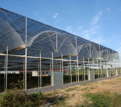 Multi-span greenhouse