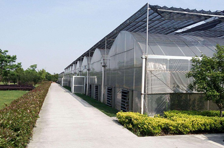 Multi-span greenhouse